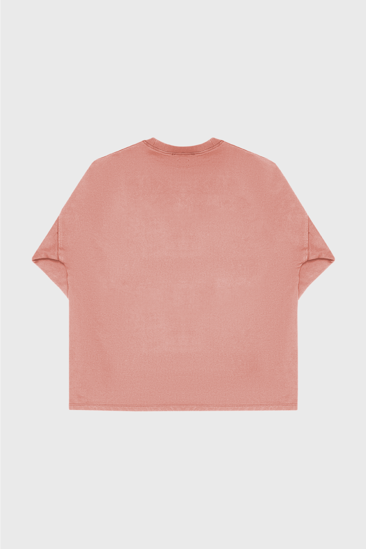 SALMON "VANGUARD" CREWNECK